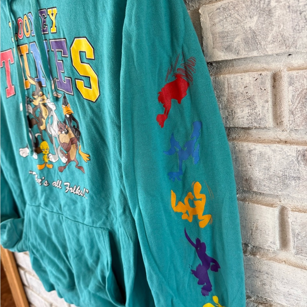 Warner Bros. Teal Looney Tunes Pullover - Picture 4 of 4